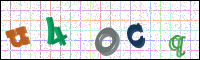 Image Verification