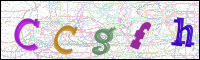 Image Verification
