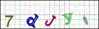 Image Verification