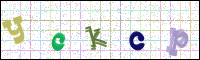 Image Verification