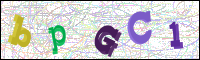 Image Verification