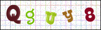 Image Verification