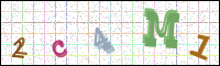 Image Verification