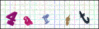Image Verification