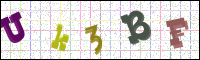 Image Verification