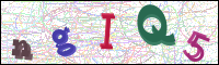 Image Verification
