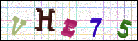 Image Verification