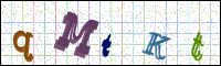 Image Verification