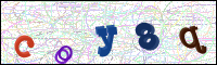 Image Verification