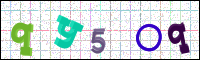 Image Verification