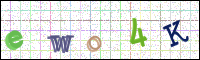 Image Verification
