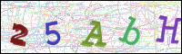 Image Verification