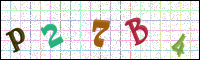 Image Verification