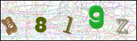 Image Verification