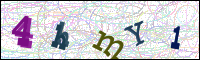 Image Verification