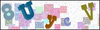 Image Verification
