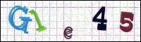 Image Verification