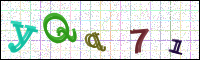 Image Verification