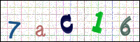 Image Verification