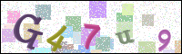 Image Verification