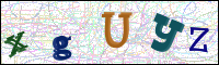 Image Verification