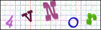 Image Verification