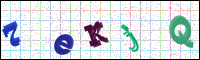 Image Verification