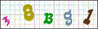 Image Verification