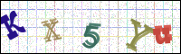 Image Verification