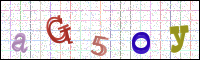Image Verification